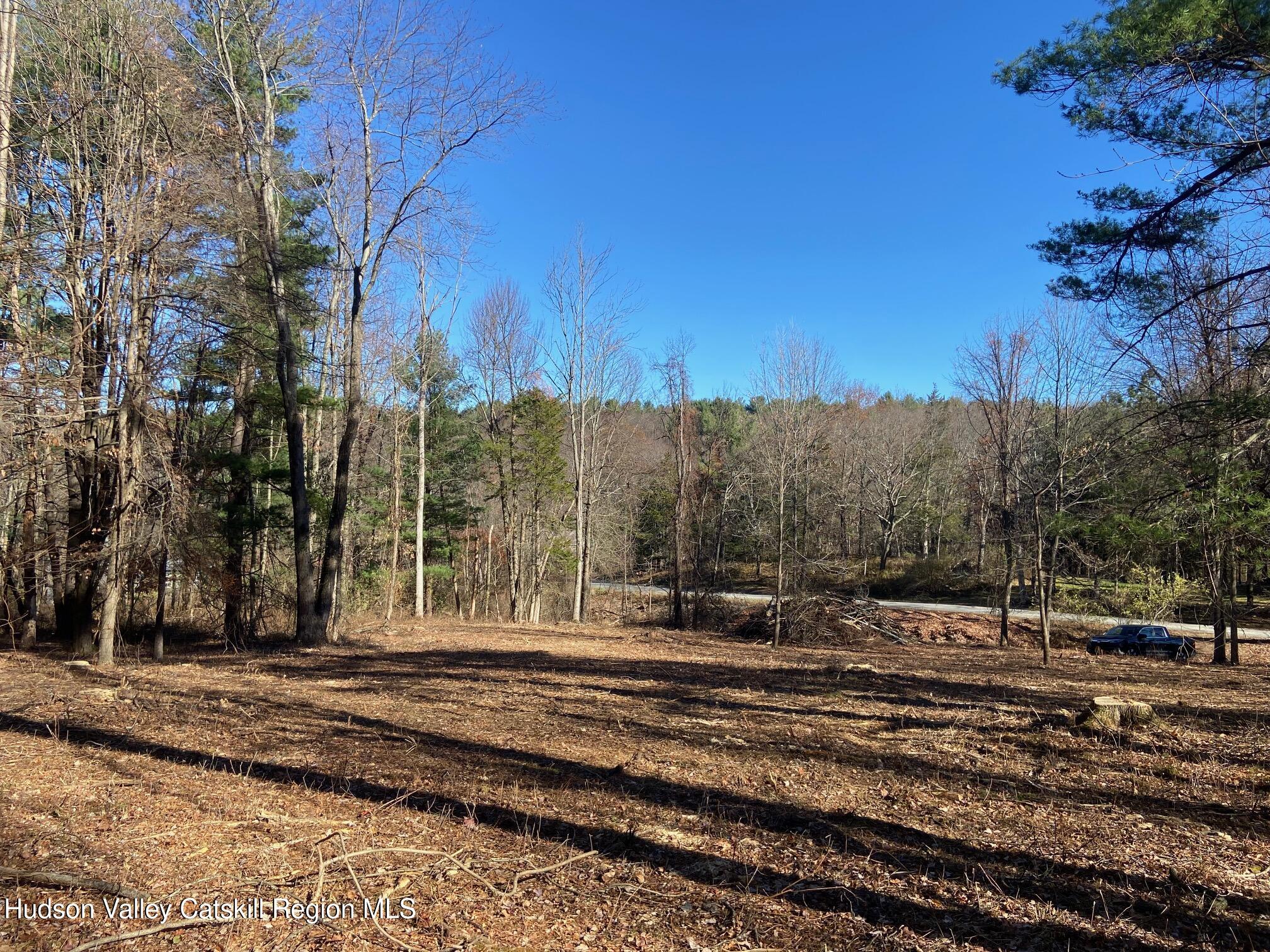 0 Thomas Road Craryville, NY 12521 - Photo 5 of 9 a view of a yard with tree s