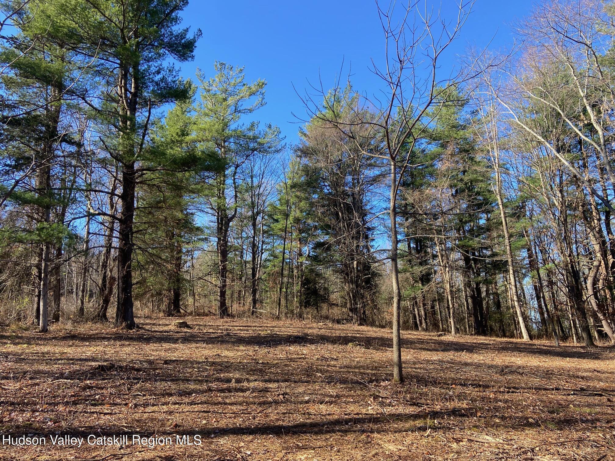 0 Thomas Road Craryville, NY 12521 - Photo 6 of 9 a backyard of a house