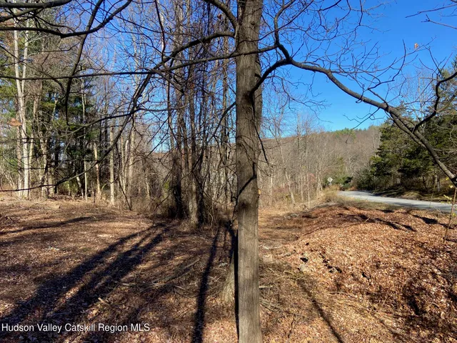 a view of a yard with trees