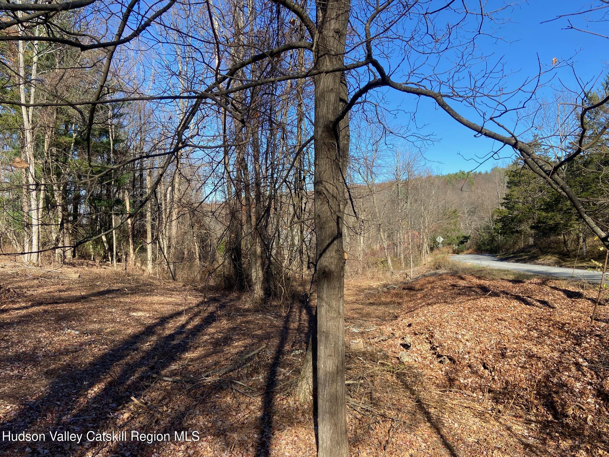 0 Thomas Road Craryville, NY 12521 - Photo 7 of 9 a view of a yard with trees