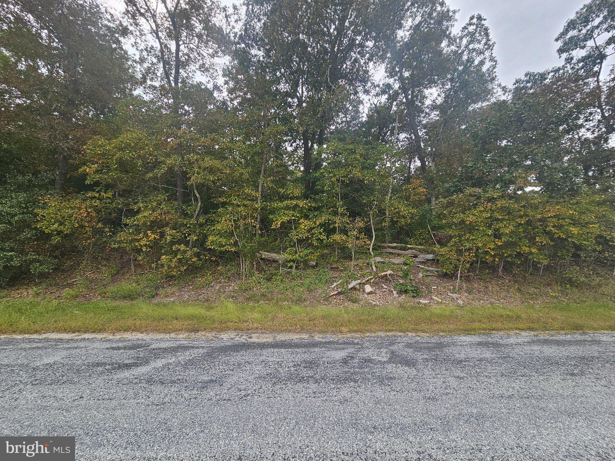 Adams Road West Dagsboro, DE 19939 - Photo 4 of 15 Gallery Image 4