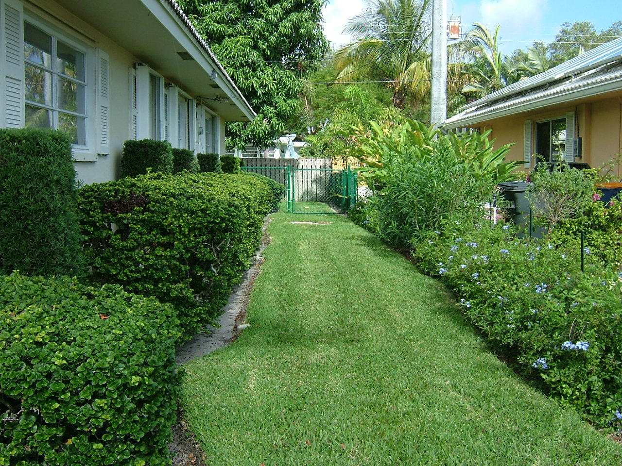 773 Apple Tree Lane Boca Raton, FL 33486 - Photo 24 of 25 a view of backyard of house