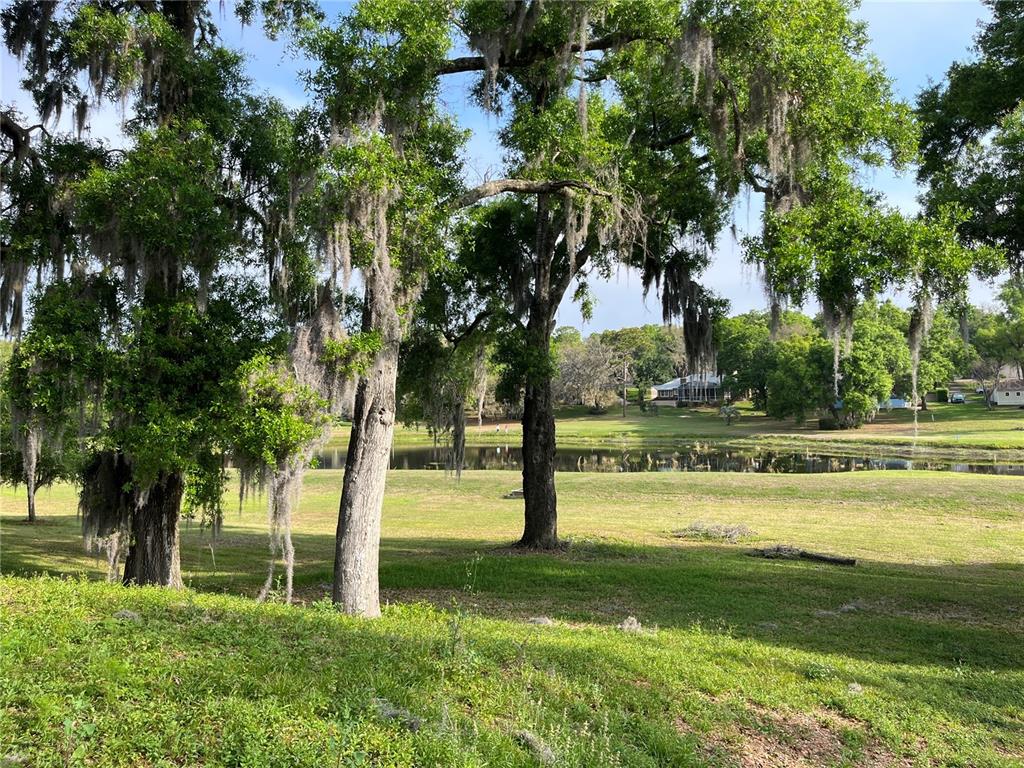 2054 Sawgrass Drive Apopka, FL 32712 - Photo 26 of 26