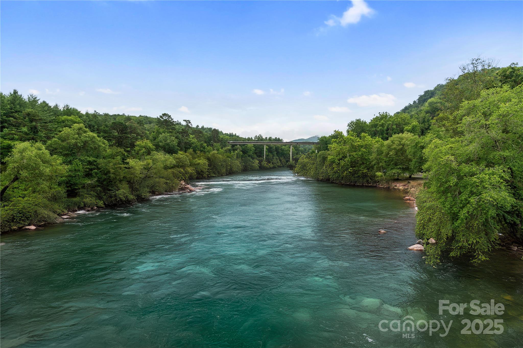 10 Heartleaf Circle Arden, NC 28704 - Photo 43 of 44