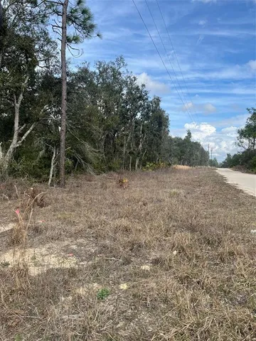 a view of a dry yard with trees