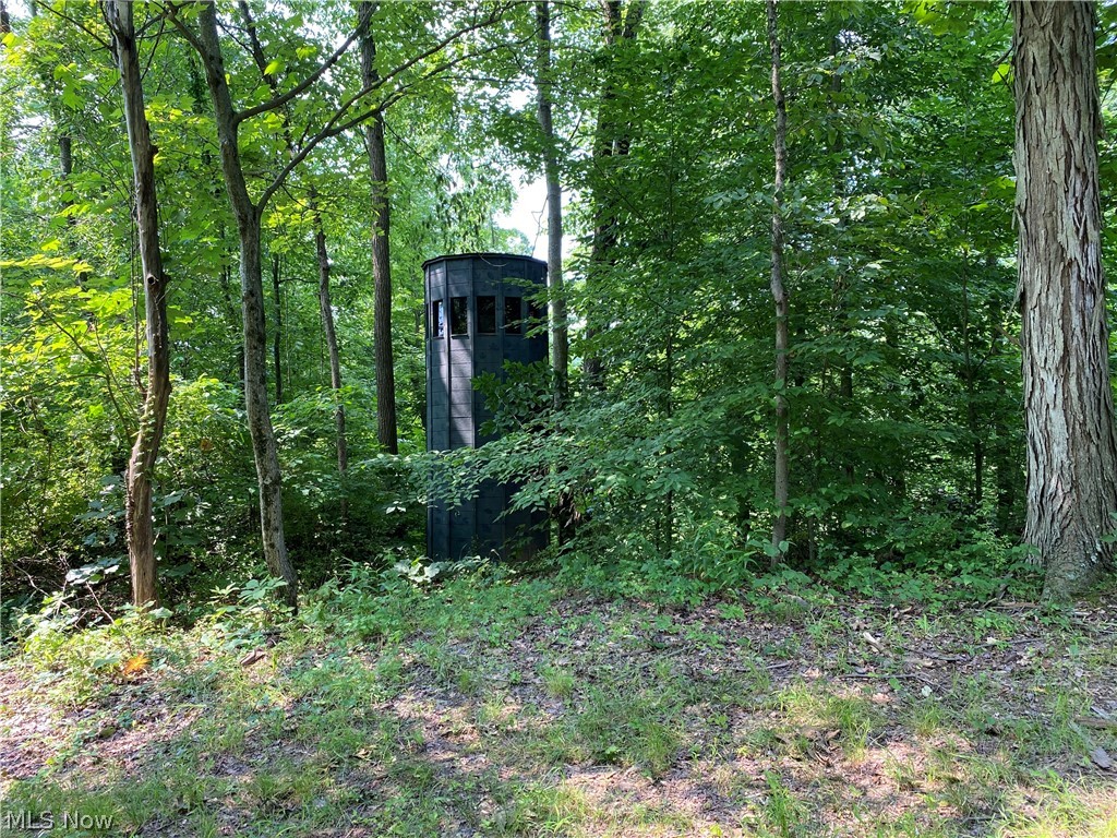 9401 Bell Run Road Adamsville, OH 43802 - Photo 18 of 27 Gallery Image 18