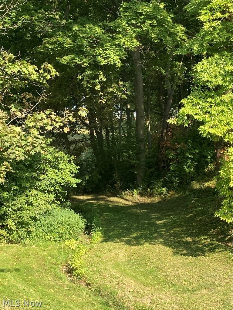 8103 Darrow Road Huron, OH 44839 - Photo 15 of 17 Creek view