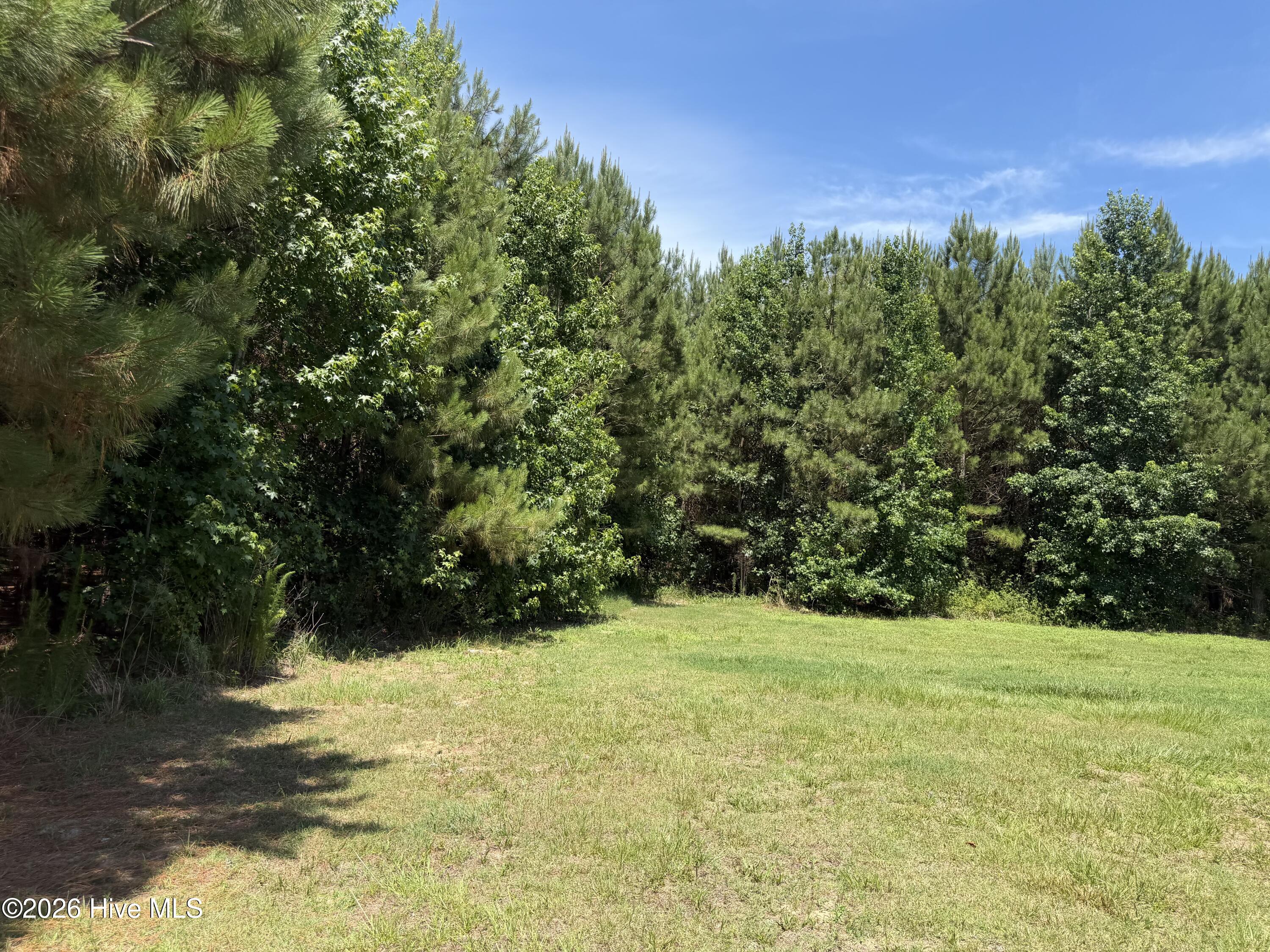 194 Barbee Road Richlands, NC 28574 - Photo 4 of 20