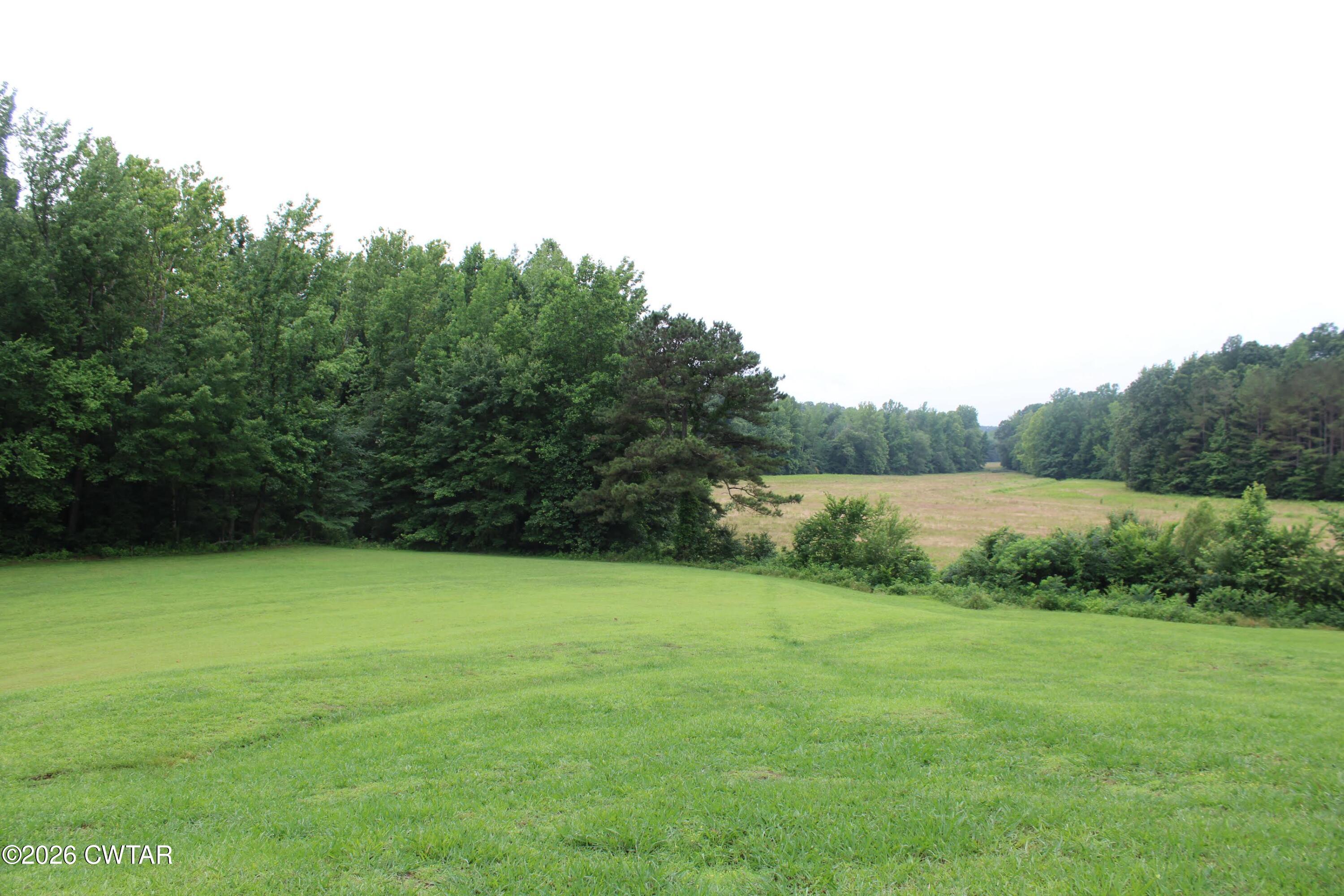 1695 Gin Branch Road Huntingdon, TN 38344 - Photo 7 of 17 1-4