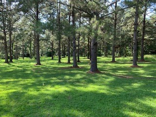 1130 Slay Road Summit, MS 39666 - Photo 3 of 13 Photo 3