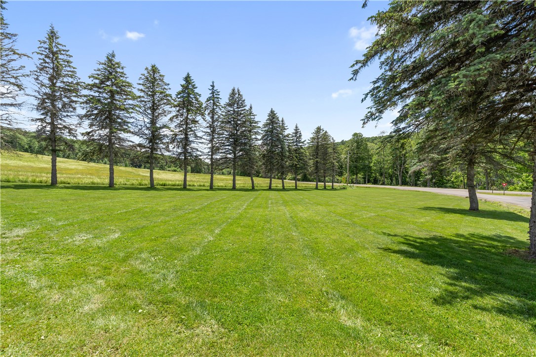 6434 Robbins Road Bath, NY 14810 - Photo 11 of 50
