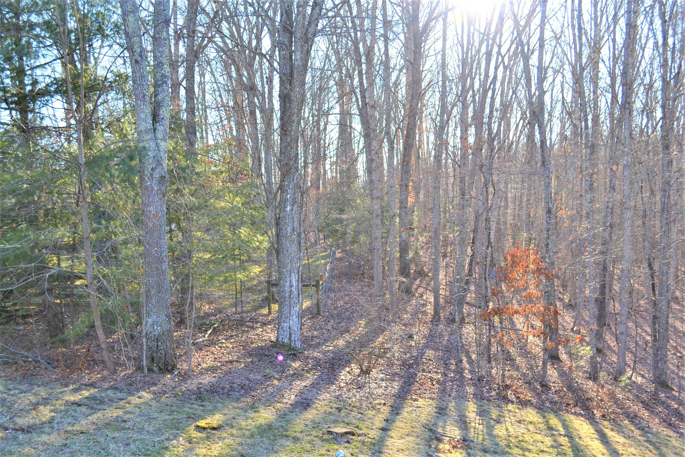 372 Anderson Estates Road Lewisburg, WV 24901 - Photo 8 of 43 Gallery Image 8