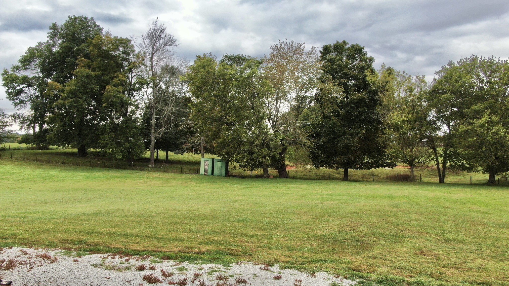 6808 Hester Road Springfield, TN 37172 - Photo 11 of 50 a view of a tree in a field