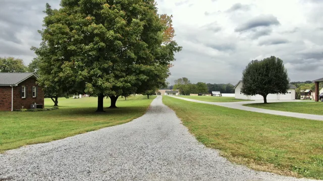 a view of a park with large trees