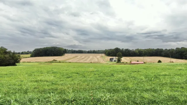 a view of a garden and basketball court