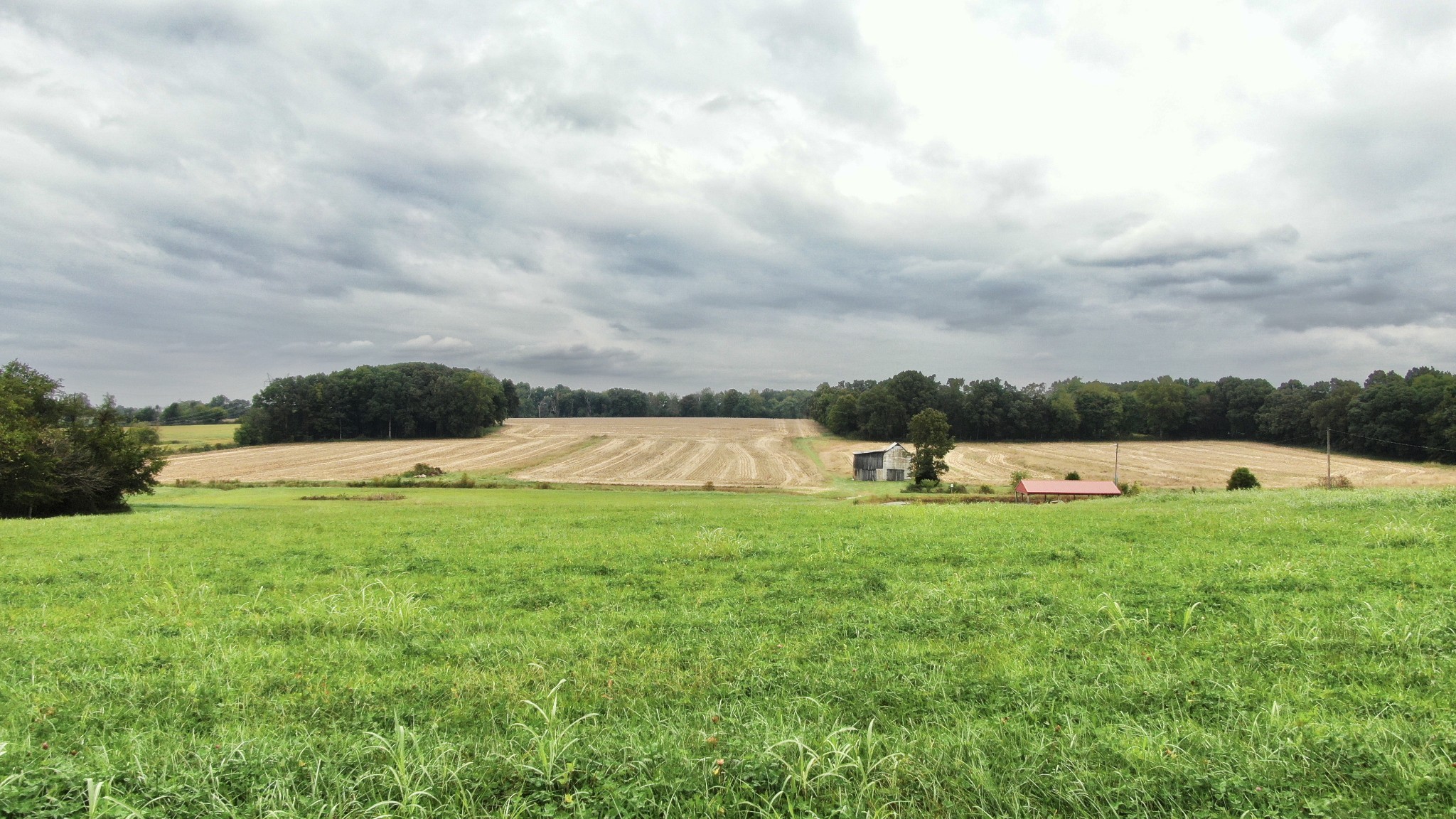 6808 Hester Road Springfield, TN 37172 - Photo 10 of 50 a view of a garden and basketball court