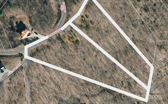 a view of a lush green space with a mountain in the background