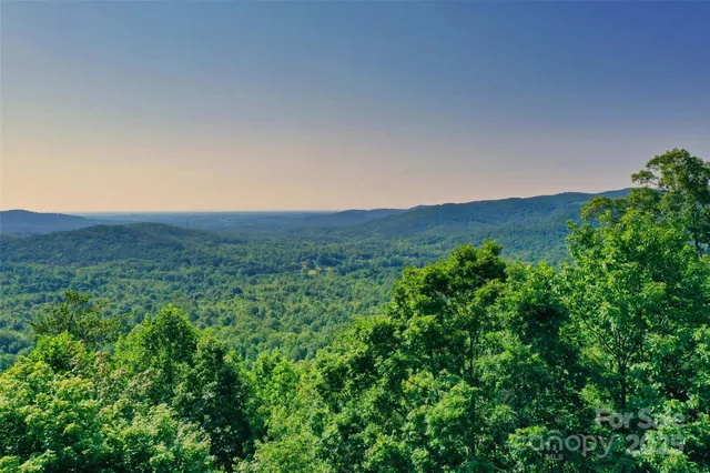 a view of a lush green field with a tree in the background
