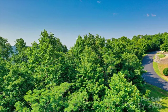 a view of yard with green space