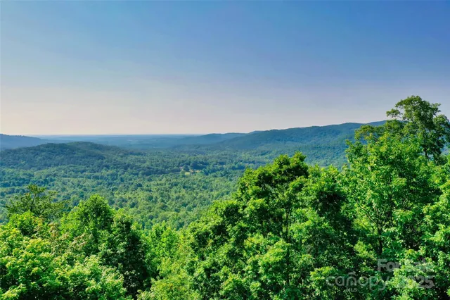 a big yard with lots of green space
