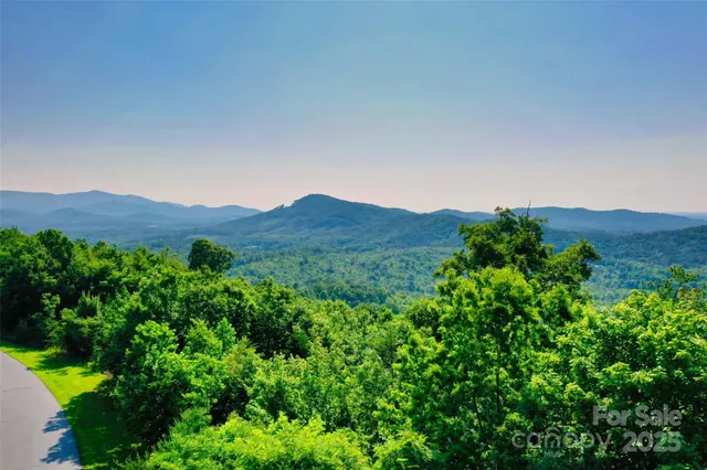 a view of a big yard with plants and large trees