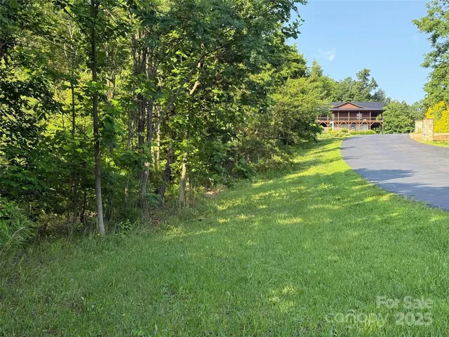 a view of a yard with large trees