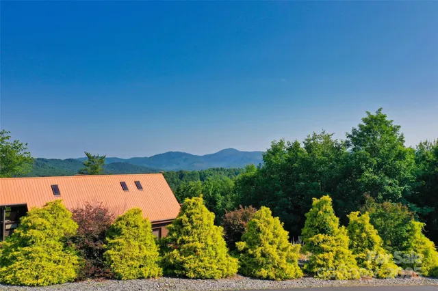 a big yard with lots of green space