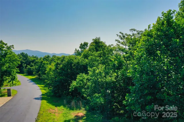 a view of a lush green field with a tree in the background