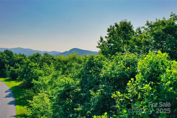 a view of a big yard with plants and a bench