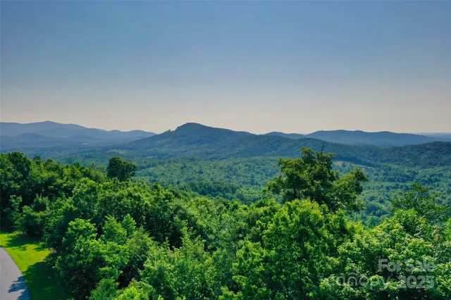 a view of a large yard with lots of green space