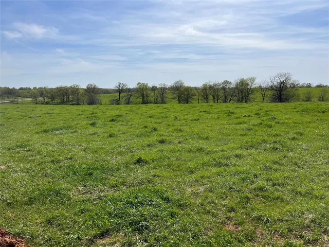 $65,000 | 0 Lot 12 Pike, Bowling Green, MO 63334