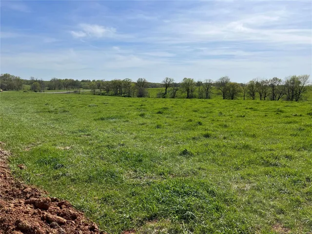 $65,000 | 0 Lot 12 Pike, Bowling Green, MO 63334