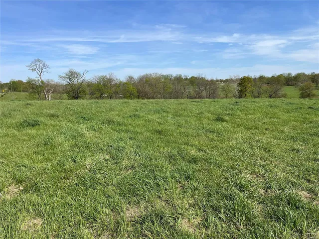 $65,000 | 0 Lot 12 Pike, Bowling Green, MO 63334