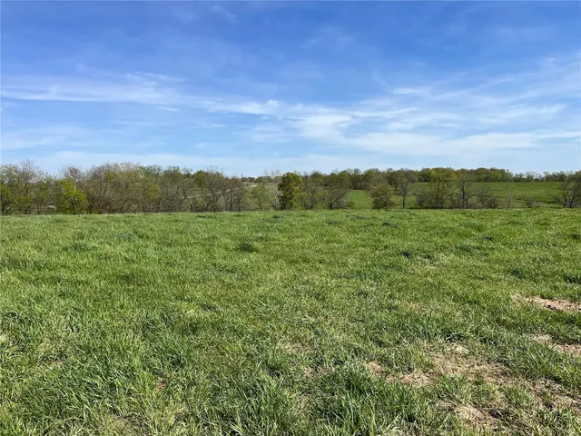 $65,000 | 0 Lot 12 Pike, Bowling Green, MO 63334