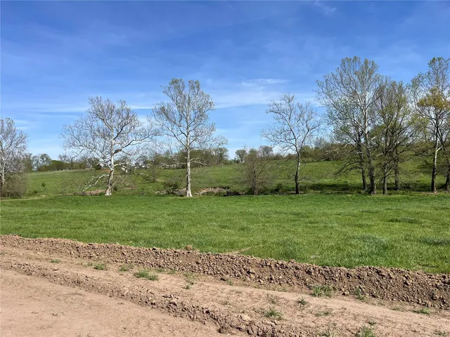 $65,000 | 0 Lot 12 Pike, Bowling Green, MO 63334