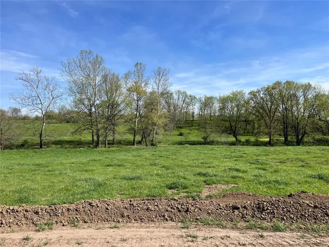 $65,000 | 0 Lot 12 Pike, Bowling Green, MO 63334