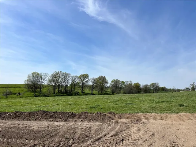 $65,000 | 0 Lot 12 Pike, Bowling Green, MO 63334