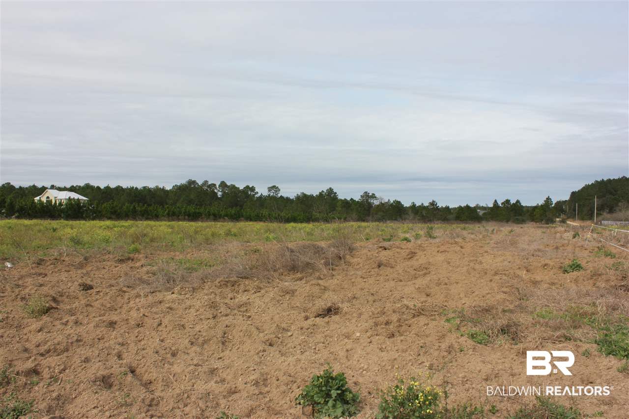 10 County Road 32 Elberta, AL 36530 - Photo 2 of 7