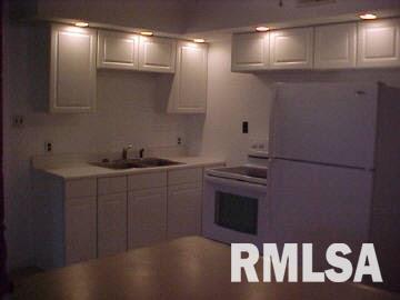 3305 Deer Ridge Road Goreville, IL 62939 - Photo 2 of 7