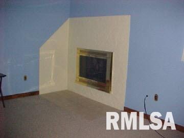 3305 Deer Ridge Road Goreville, IL 62939 - Photo 3 of 7