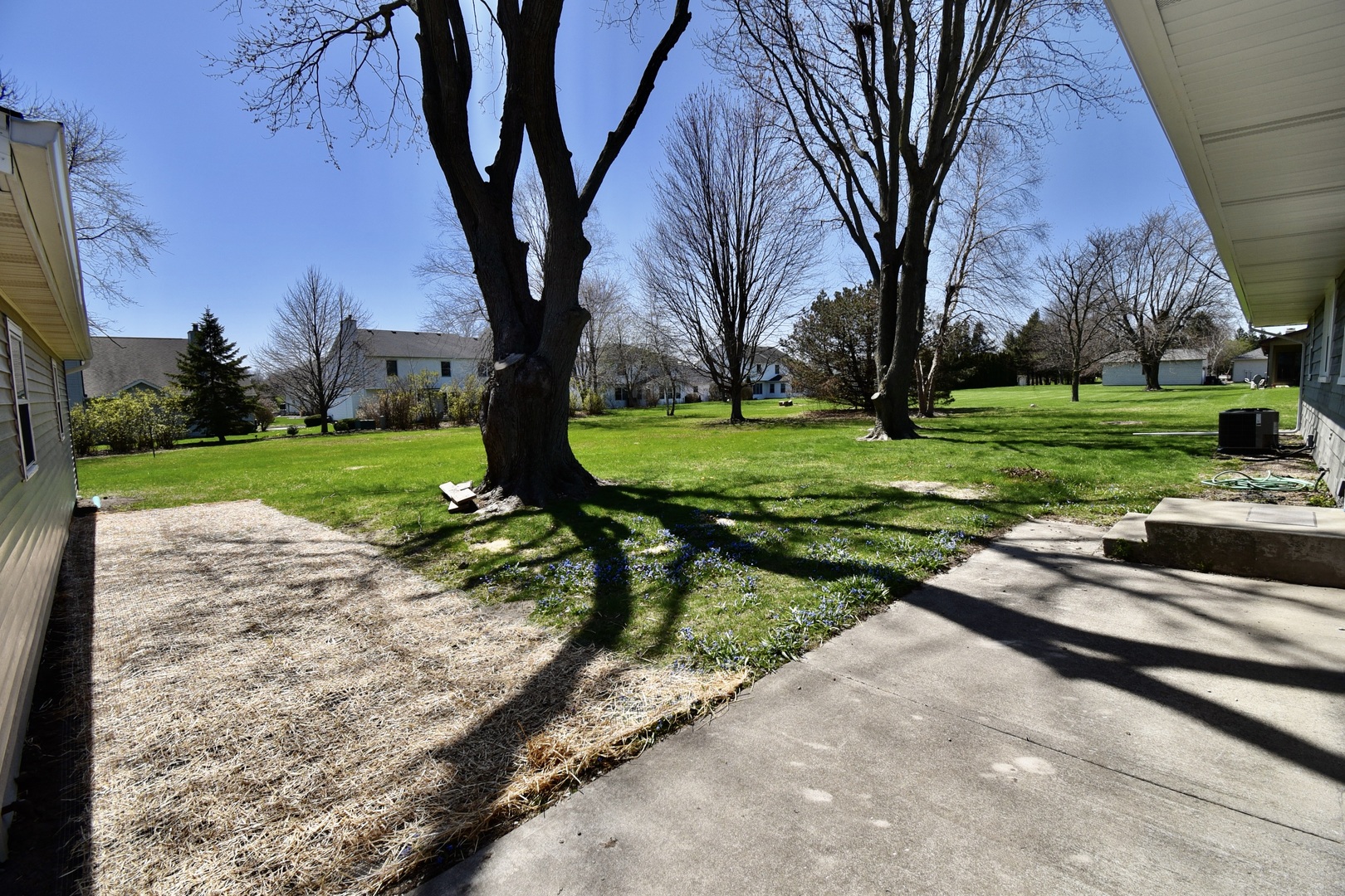 413 East Northtown Road North Normal, IL 61761 - Photo 4 of 20 a view of a park with large trees