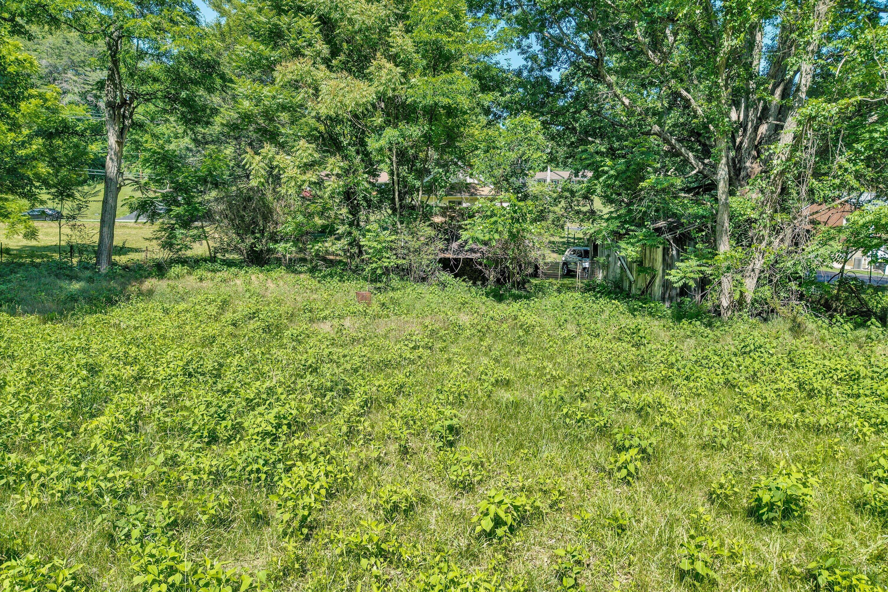 2241 Blue Ridge Springs Road Blue Ridge, VA 24064 - Photo 23 of 28 Land view