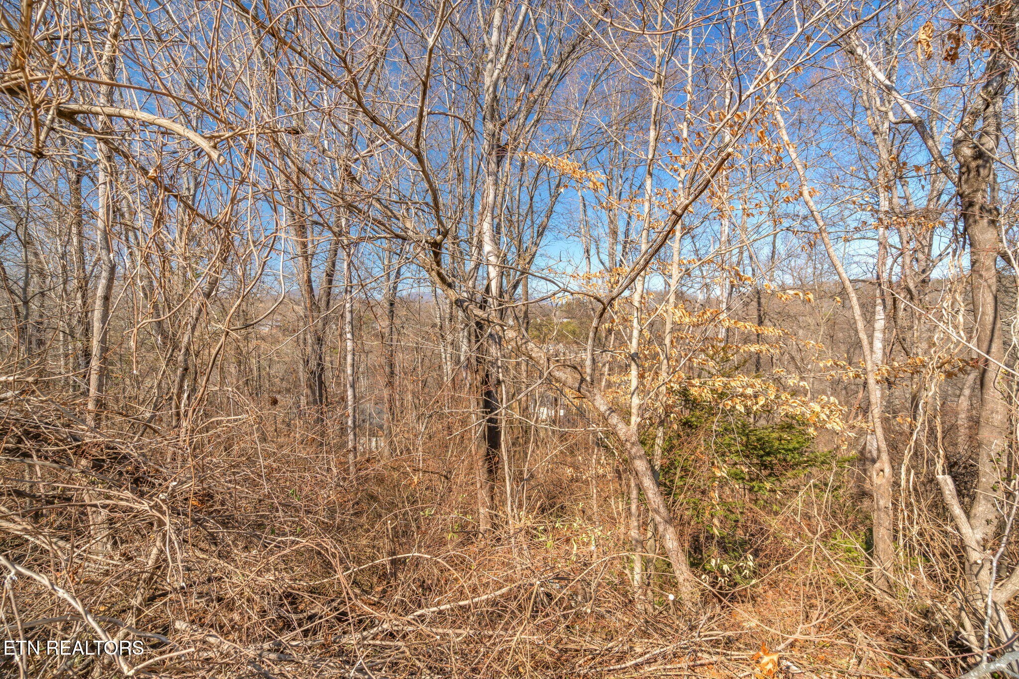 48 Orchard Knob Road Clinton, TN 37716 - Photo 22 of 29 Gallery Image 22