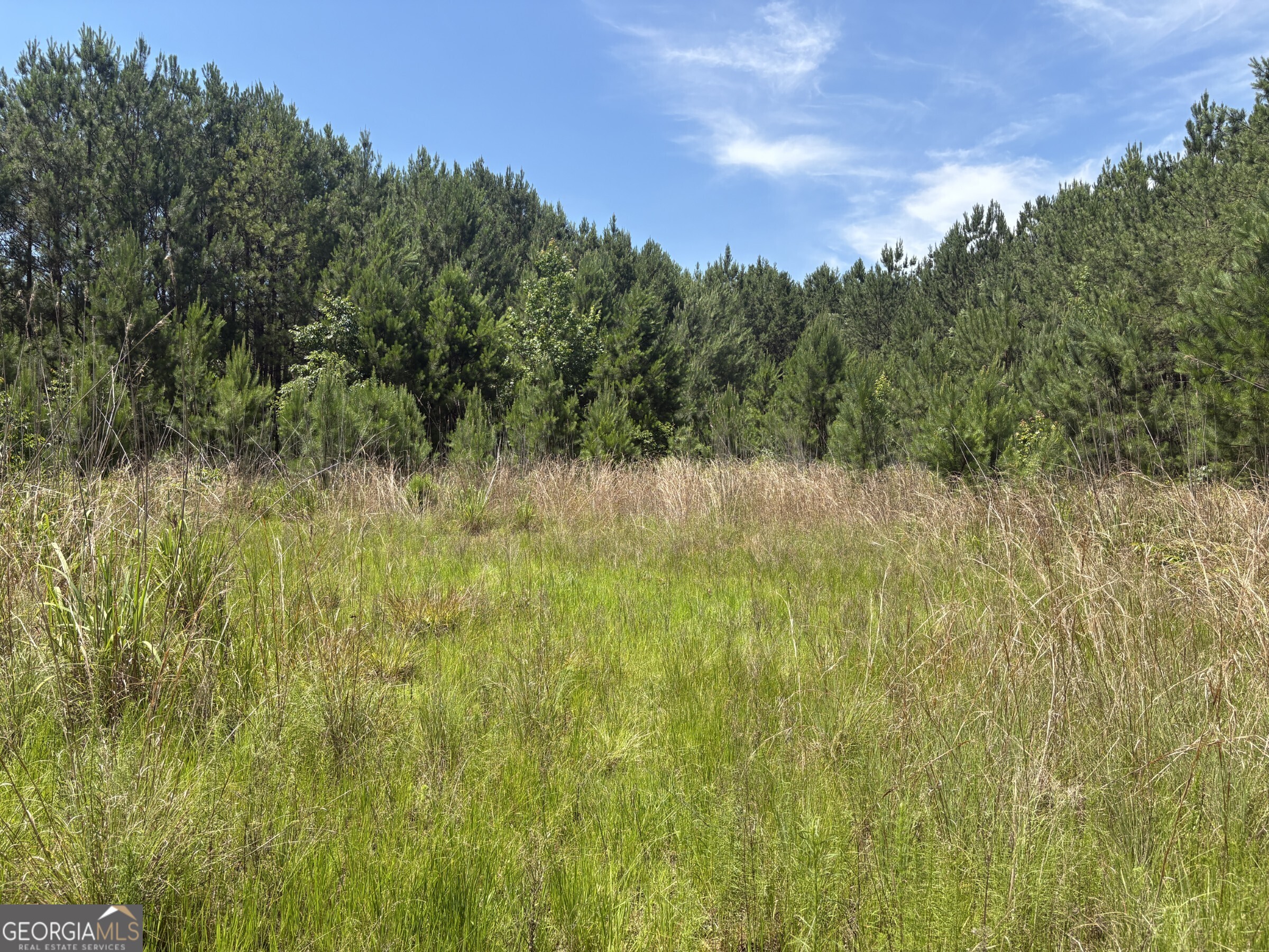0 Wriley Road McIntyre, GA 31054 - Photo 9 of 29
