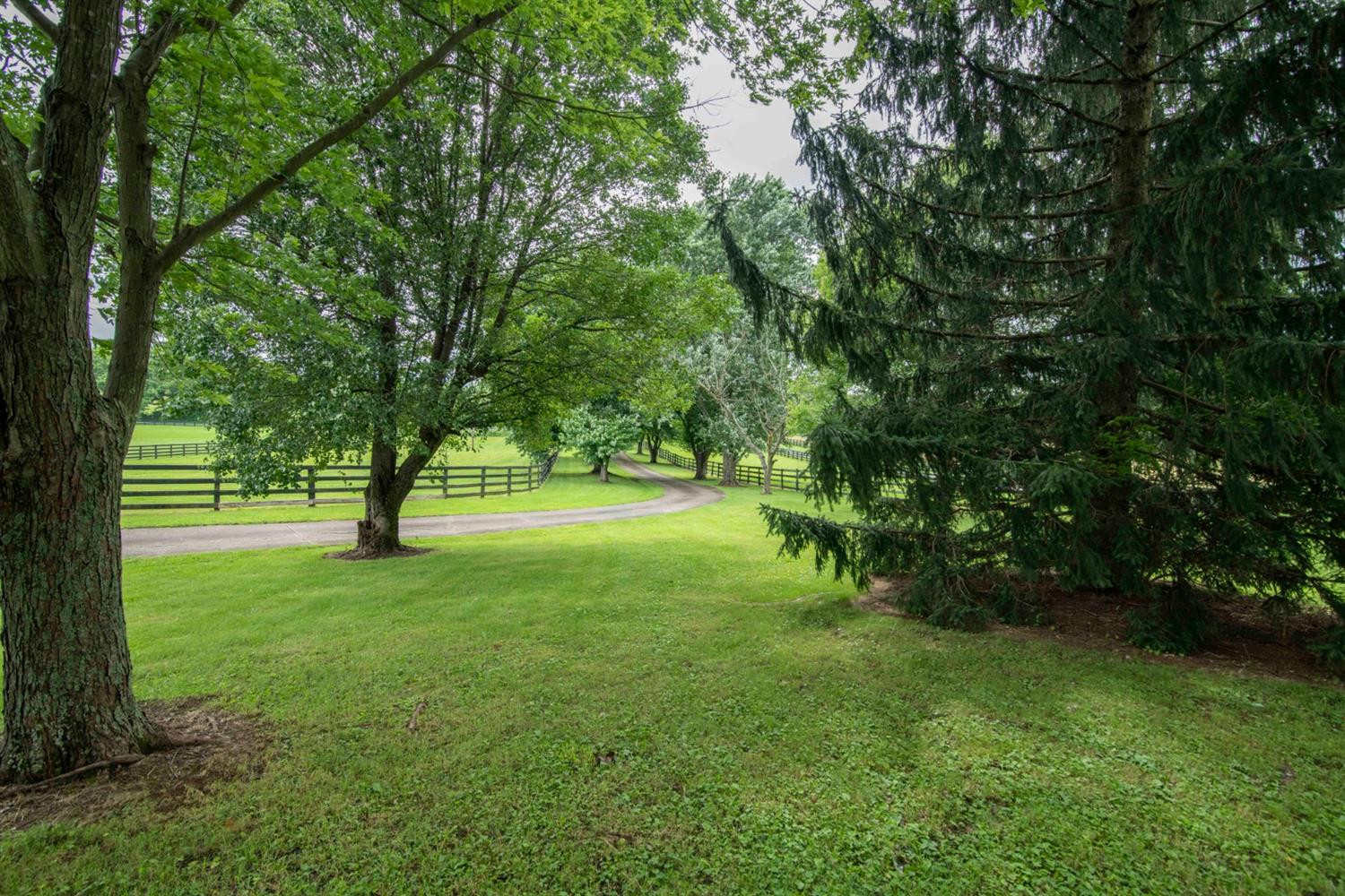 3519 Houston Antioch Road Paris, KY 40361 - Photo 44 of 56 Photo 44