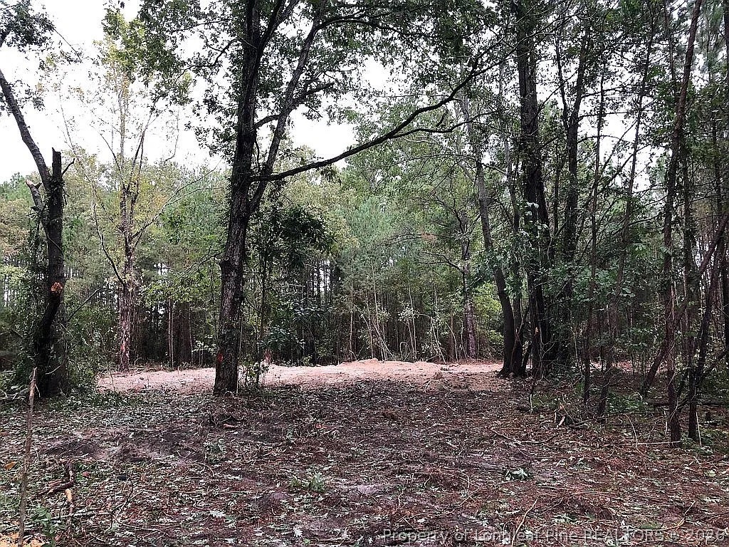 700 Slocomb Road Fayetteville, NC 28311 - Photo 5 of 9 a view of outdoor space with trees