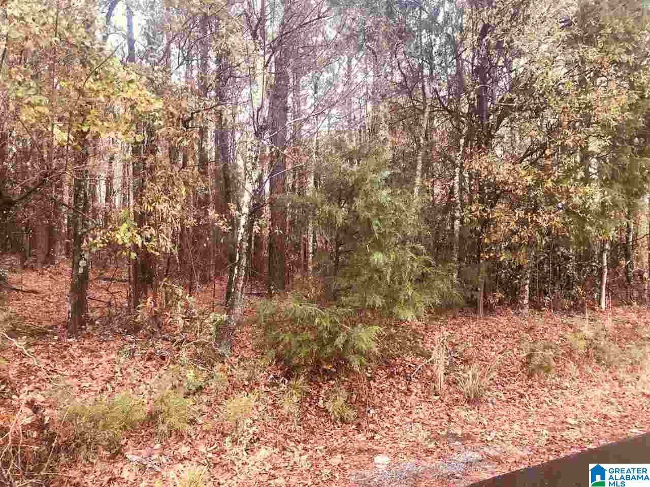 0 Kirby Road, Unit 2 2 Oxford, AL 36203 - Photo 4 of 8