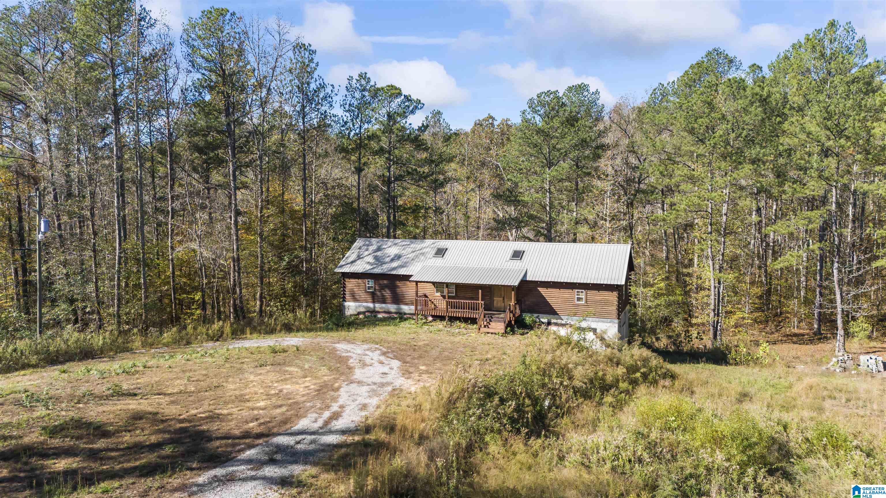 1078 Chamblee Mill Road Blountsville, AL 35031 - Photo 3 of 25