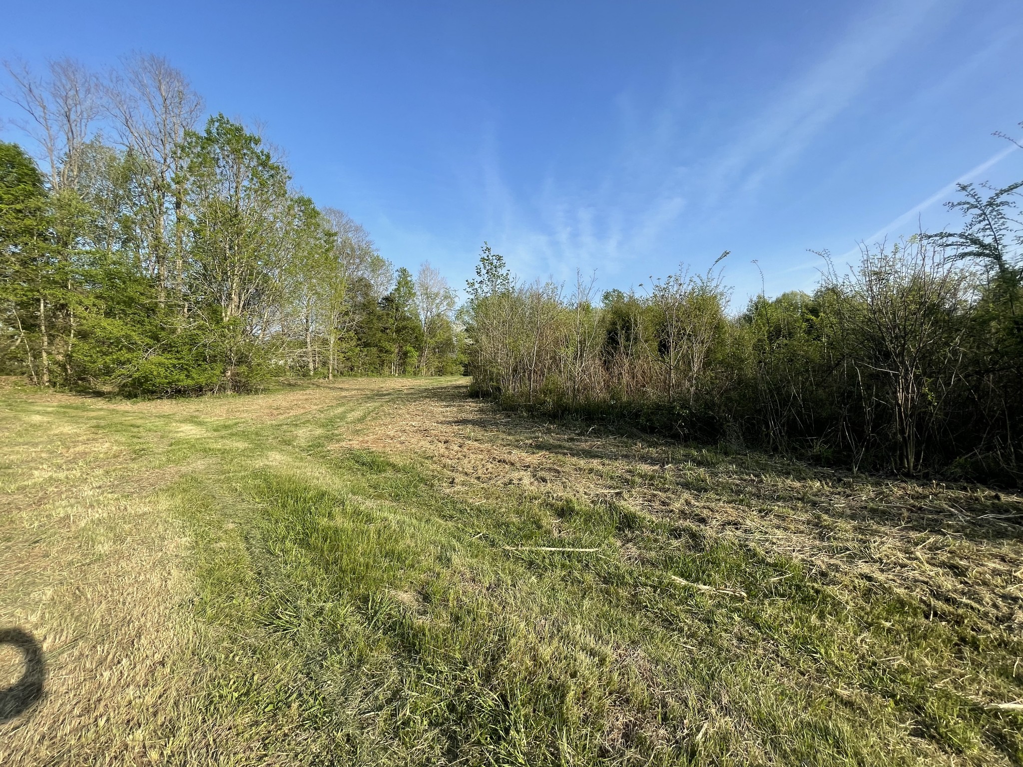 0 Osborne Road Greenbrier, TN 37073 - Photo 11 of 12