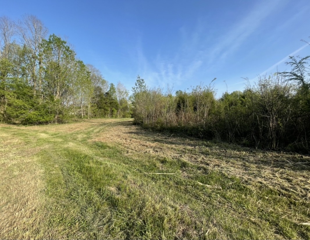 0 Osborne Road Greenbrier, TN 37073 - Photo 3 of 12